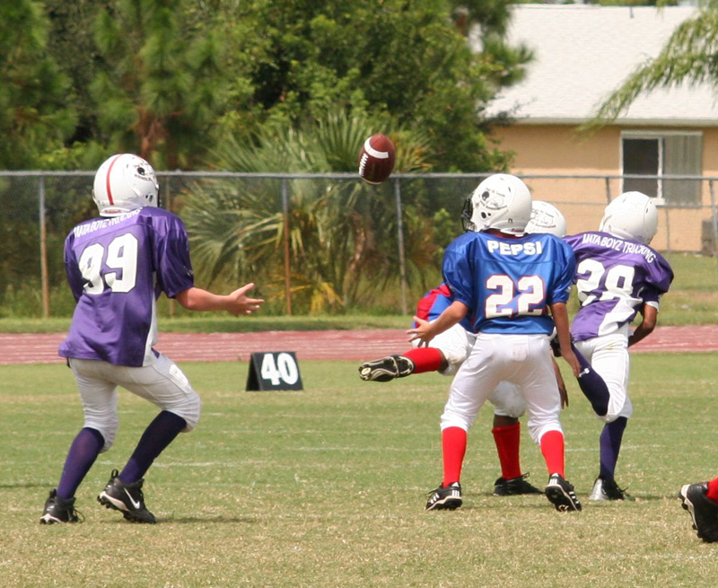 2008 PSLAA Ravens