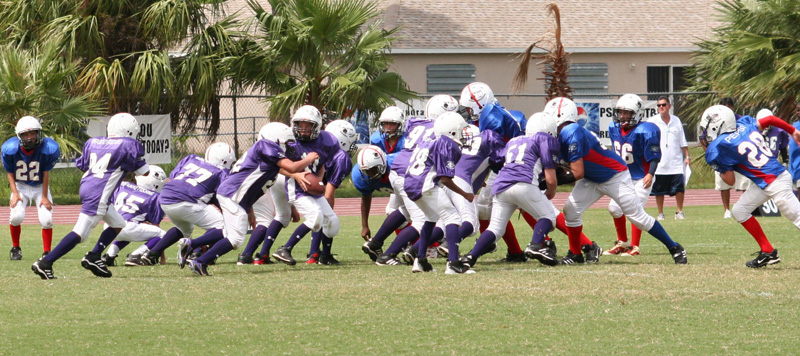 2008 PSLAA Ravens