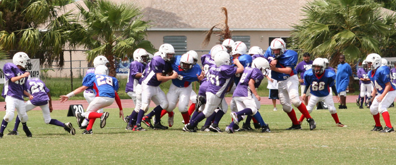 2008 PSLAA Ravens