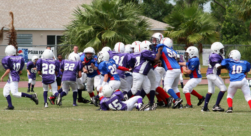 2008 PSLAA Ravens