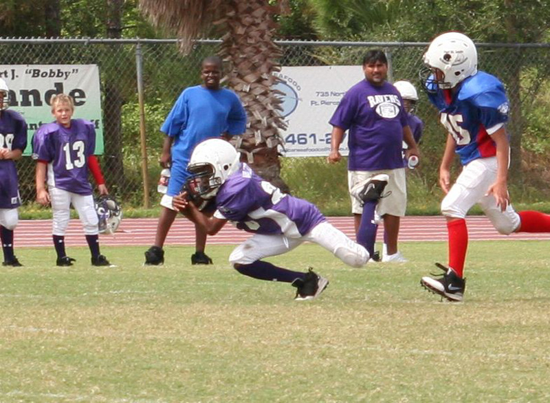 2008 PSLAA Ravens