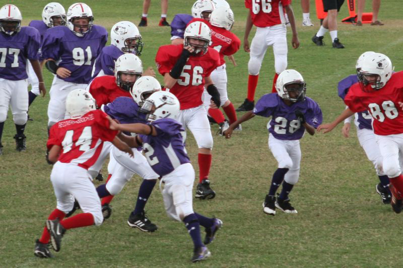 2008 PSLAA Ravens