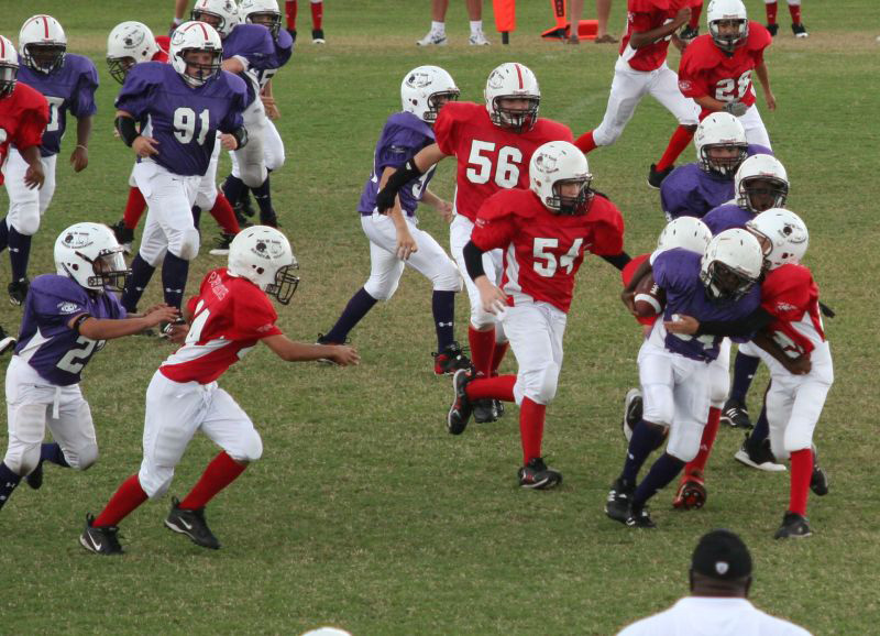 2008 PSLAA Ravens