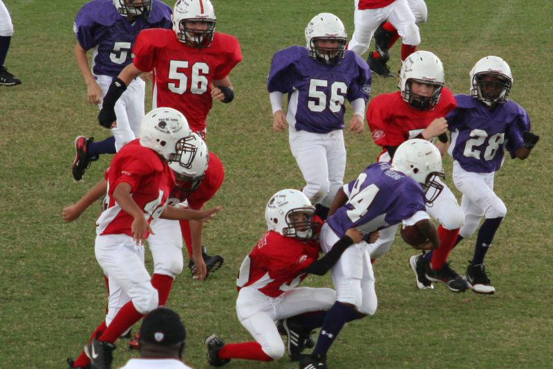 2008 PSLAA Ravens