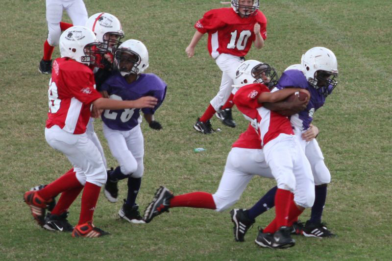 2008 PSLAA Ravens