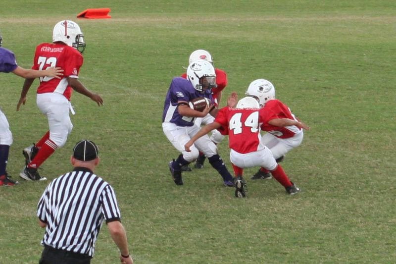 2008 PSLAA Ravens