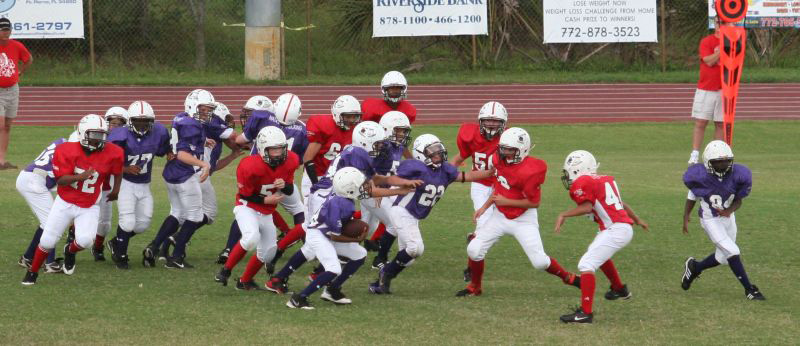 2008 PSLAA Ravens