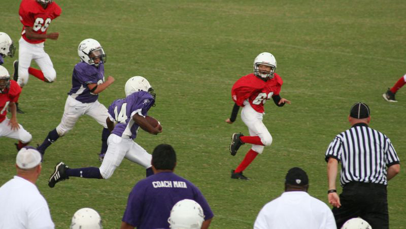 2008 PSLAA Ravens