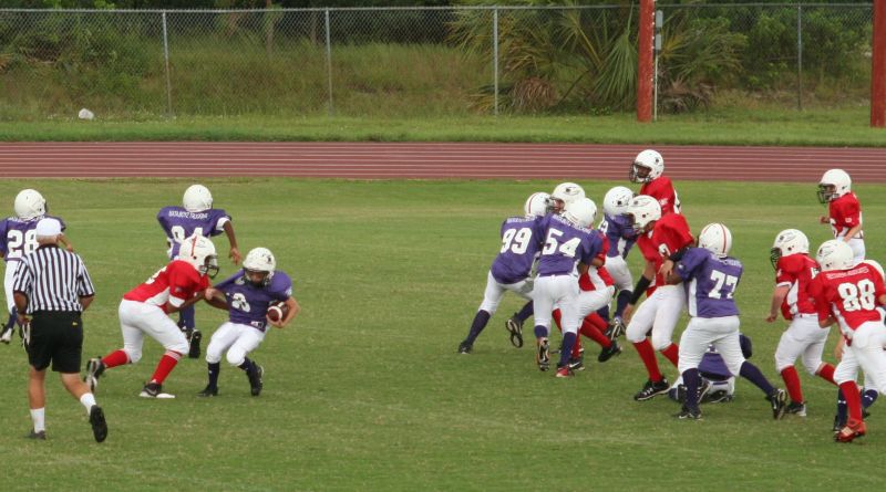 2008 PSLAA Ravens