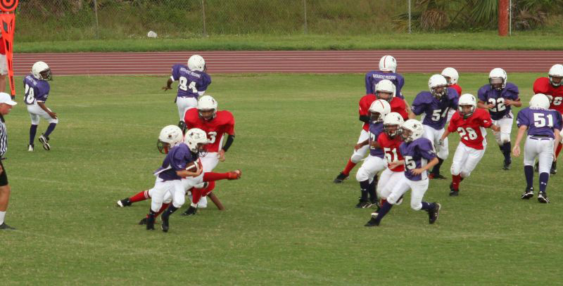 2008 PSLAA Ravens