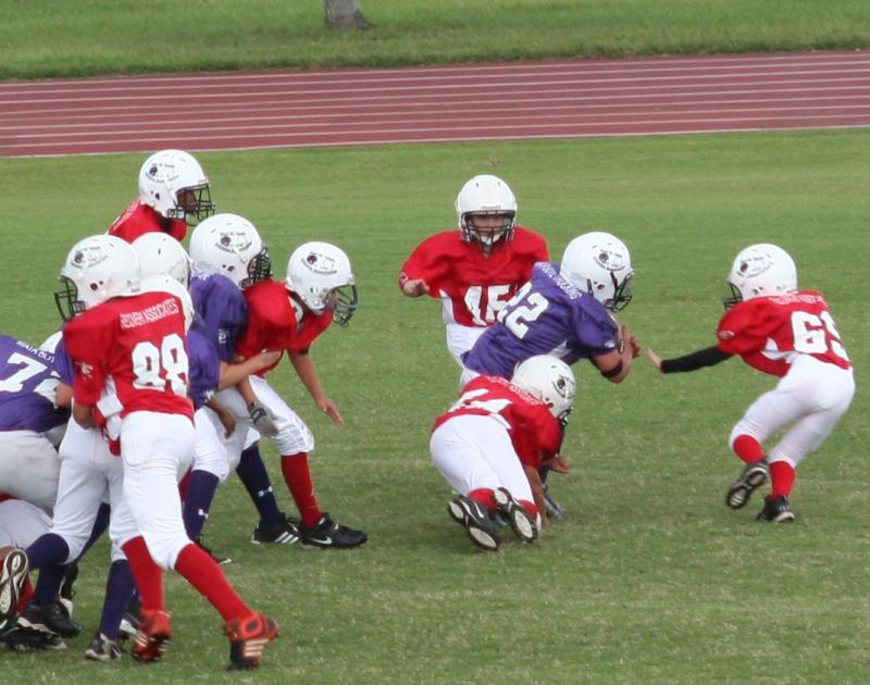 2008 PSLAA Ravens