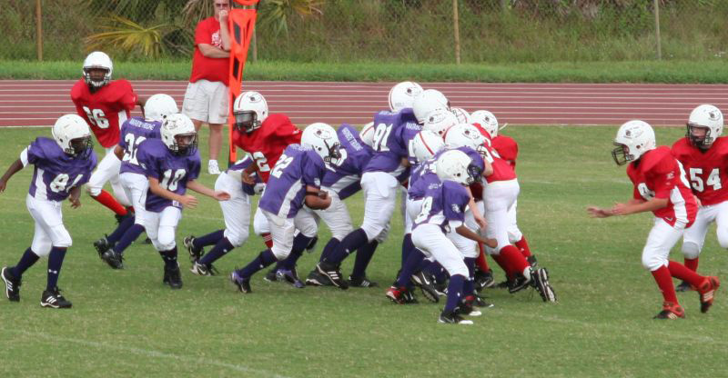 2008 PSLAA Ravens