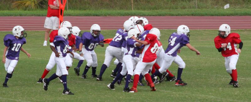 2008 PSLAA Ravens