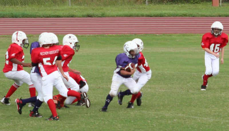 2008 PSLAA Ravens