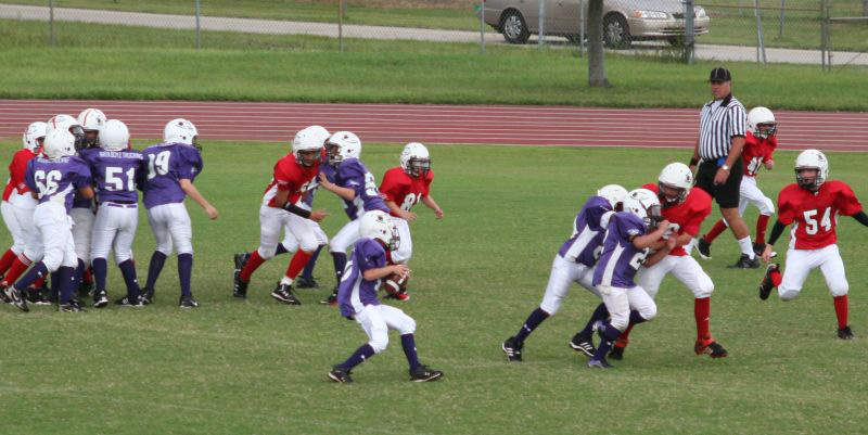 2008 PSLAA Ravens