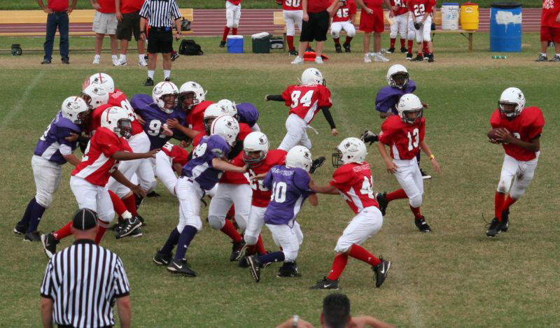 2008 PSLAA Ravens