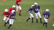 2008 PSLAA Ravens