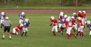 2008 PSLAA Ravens