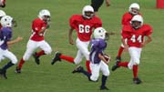 2008 PSLAA Ravens