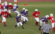 2008 PSLAA Ravens