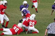 2008 PSLAA Ravens