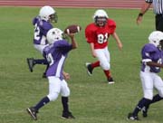 2008 PSLAA Ravens