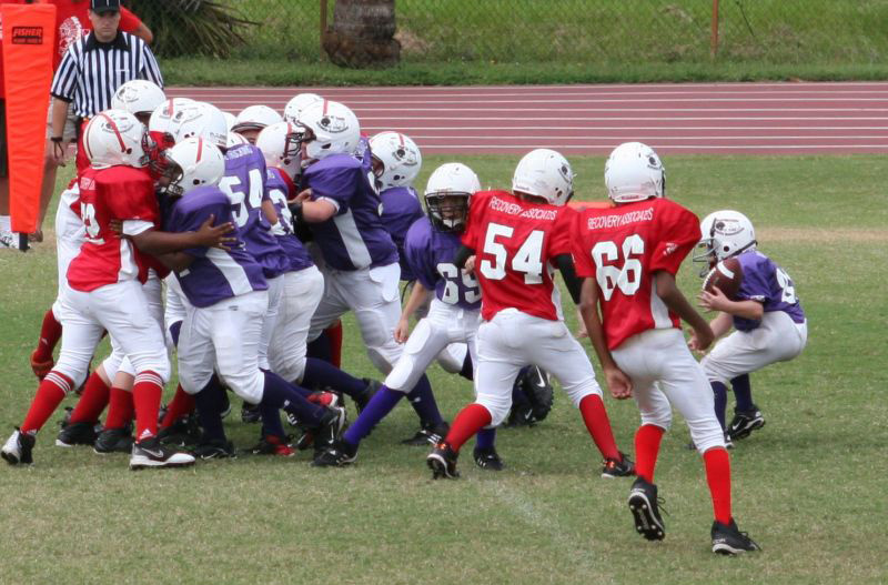 2008 PSLAA Ravens