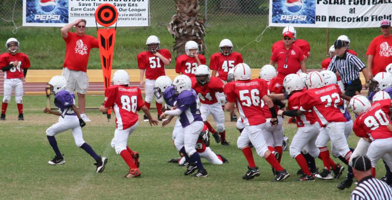 2008 PSLAA Ravens