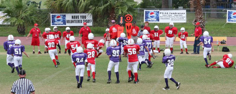 2008 PSLAA Ravens