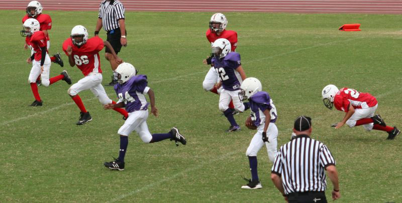 2008 PSLAA Ravens