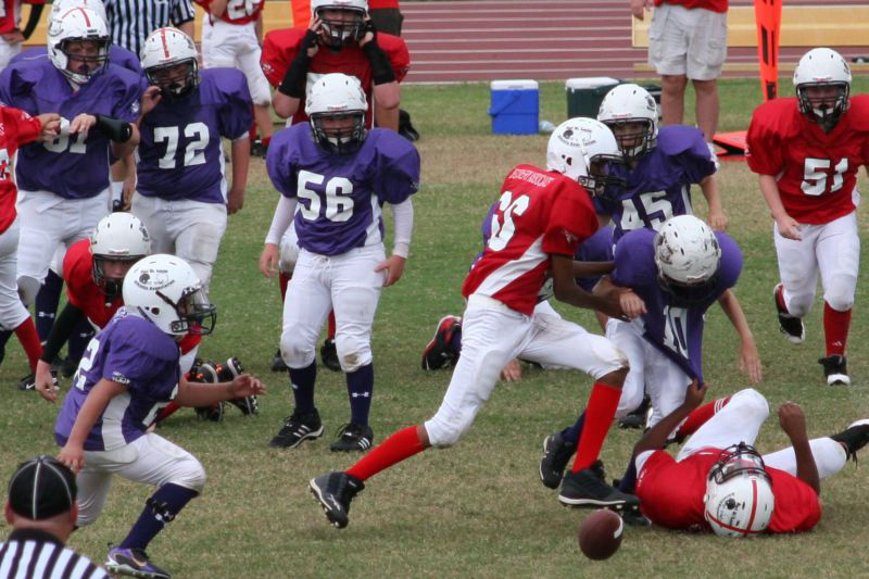 2008 PSLAA Ravens