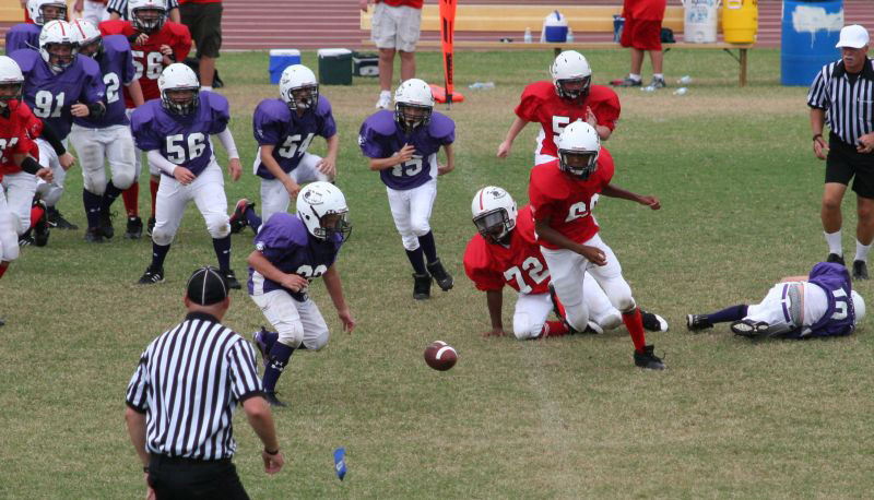 2008 PSLAA Ravens