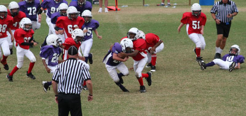 2008 PSLAA Ravens