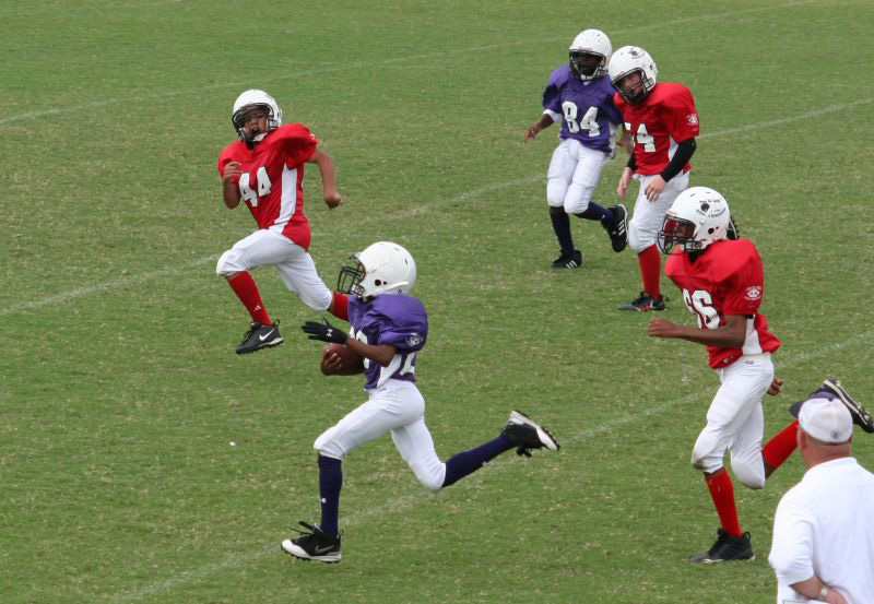 2008 PSLAA Ravens