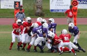 2008 PSLAA Ravens