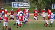 2008 PSLAA Ravens