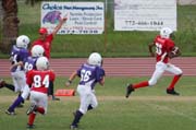 2008 PSLAA Ravens