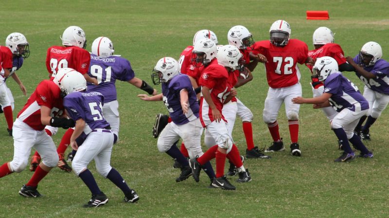 2008 PSLAA Ravens