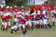 2008 PSLAA Ravens