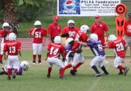 2008 PSLAA Ravens