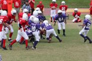 2008 PSLAA Ravens