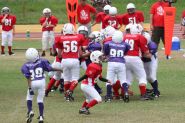 2008 PSLAA Ravens