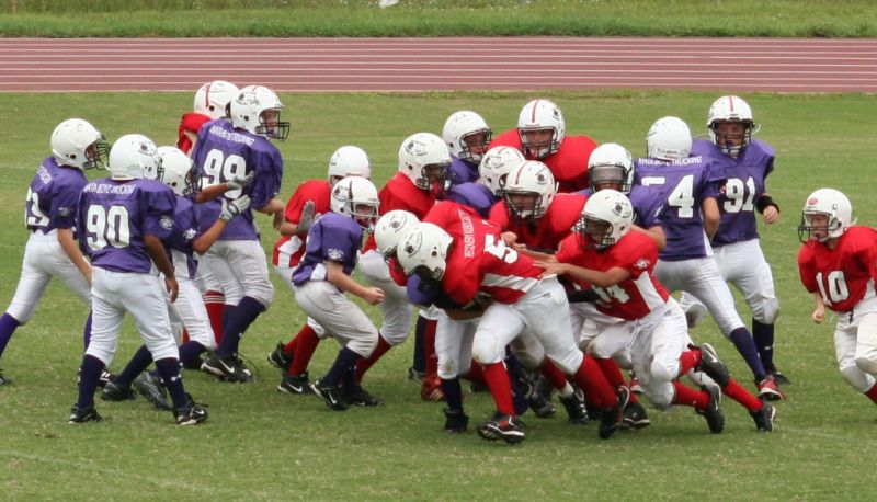 2008 PSLAA Ravens