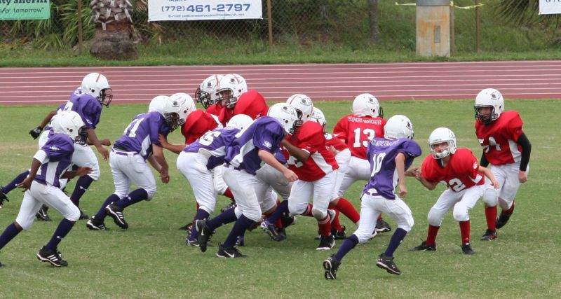 2008 PSLAA Ravens