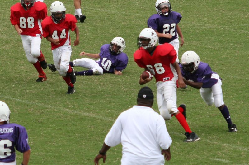 2008 PSLAA Ravens