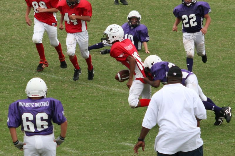 2008 PSLAA Ravens