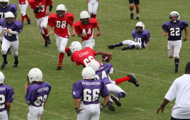 2008 PSLAA Ravens