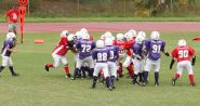 2008 PSLAA Ravens