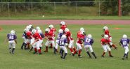 2008 PSLAA Ravens