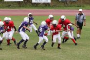 2008 PSLAA Ravens